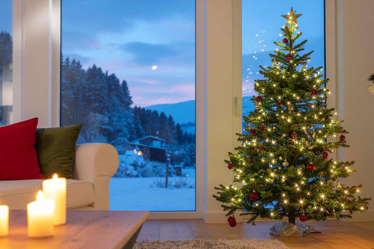 albero di natale vicino finestra